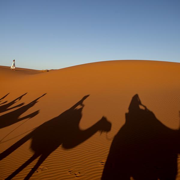 Morocco - Sahara  -2011